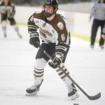 Kenai River Brown Bears forward Brandon Lajoie controls the puck against the Springfield (Illionis) Jr. Blues on Friday, Jan. 18, 2019, at the Soldotna Regional Sports Comlex. (Photo by Jeff Helminiak/Peninsula Clarion)