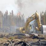 An excavator pulls vegetation back into a dozer line after the interior line was approved for repair. (Photo by Todd Eskelin/USFWS)