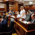 Rep. Sara Hannan, D-Juneau, speaks in favor of HB 2002 on a reconsideration vote at the Capitol on Monday, July 22, 2019. (Michael Penn | Juneau Empire)