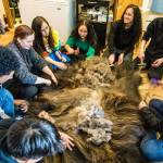 Unforgettable experiences