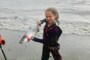 Tight Lines: Kenai River fishing slowly, but surely, improving