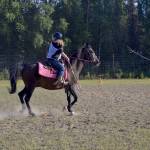 Photo by Victoria Petersen/Peninsula Clarion                                 A group of riders engage in a game of polocrosse, a sport combining rules of polo and lacrosse, Thursday, near Soldotna.