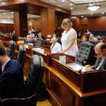 Rep. Sara Hannan, D-Juneau, speaks in favor of HB 2002 on a reconsideration vote at the Capitol on Monday, July 22,2019. (Michael Penn | Juneau Empire)