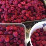 Kachemak Cuisine: Unusual hot days call for cool treat like Raspberry Swamp Pie