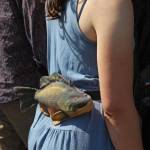 A woman walks through the Ninilchik Fairgrounds with a salmon fanny pack on Friday, Aug. 2, 2019 at Salmonfest in Ninilchik, Alaska. (Photo by Megan Pacer/Homer News)
