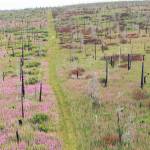 Refuge notebook: The difference between predicting climate change and its ecological outcomes