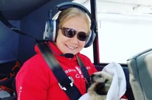 Veterinary Technician Sarah McMillen returns with the sea otter pup in Homer, Alaska, pilot, Duke Marolfs, plane. (Photo courtesy Alaska SeaLife Center)