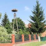 A stork nest rests on an artificial nest platform atop an electrical pole in Poland. (Photo courtesy of Kenai National Wildlife Refuge)