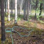A sprinkler system set up for structure protection can be seen here at the home of Michael Link in Cooper Landing, Alaska on Aug. 30, 2019. (Photo by Brian Mazurek/Peninsula Clarion)                                A sprinkler system set up for structure protection can be seen here at the home of Michael Link in Cooper Landing, Alaska on Aug. 30, 2019. (Photo by Brian Mazurek/Peninsula Clarion)