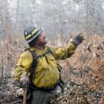 A firefighter from the Snake River Valley Type 2 crew points to a tree that is set to be cut down located near the containment line off of Skilak Lake Road southeast of Sterling on Friday. (Photo by Brian Mazurek/Peninsula Clarion)
