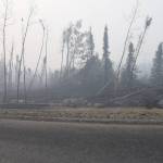 Trees burned by the Swan Lake Fire and knocked down by gusts of wind can be seen here along the Sterling Highway on Aug. 30, 2019. (Photo by Brian Mazurek/Peninsula Clarion)