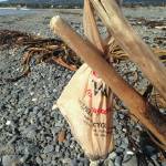 A single-use plastic bag hangs on a driftwood branch at Mariner Park on the Homer Spit on Oct. 5,2018, in Homer, Alaska. It appeared someone had reused the bag to collect dog poop but then left the bag on the beach. (Photo by Michael Armstrong/Homer News)