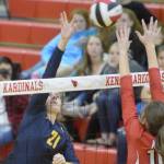 Homer volleyball takes down Kenai