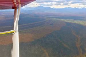 Refuge Notebook: The Swan Lake Fire and wildlife