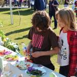 Pies, produce and pickling