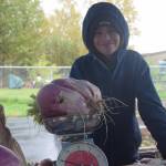 Fifth grader Ollie Fischer shows off a 9-pound turnip at the Montessori Farmers Market at the Soldotna Montessori School on Sept. 13, 2019. (Photo by Brian Mazurek/Peninsula Clarion)