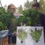 Lee Downing, left, and Aanson Clark, right, can be seen here behind mountains of kale at the Montessori Farmers Market at the Soldotna Montessori School on Sept. 13, 2019. (Photo by Brian Mazurek/Peninsula Clarion)