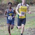 Region cross-country preview: Truncated season adds suspense