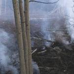 Jeff Helminiak / Peninsula Clarion                                Smoke can be seen rising from areas scarred by the Swan Lake Fire on Sunday on Skilak Loop.