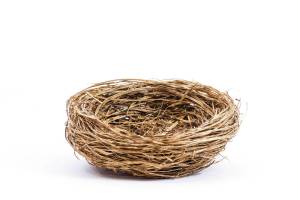 <em>Will Morrow lives in Kenai. Email him at wkmorrow@ptialaska.net.</em>