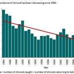 Chinook salmon numers in the Salish Sea from 1984-2010. (Courtesy photo, Environmental Protection Agency)