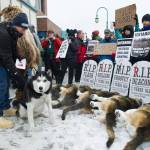 Iditarod head, PETA leader to meet