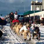 In this March 7, 2015, file photo, musher Peter Kaiser, of Bethel, Alaska, leads his team past spectators during the ceremonial start of the Iditarod Trail Sled Dog Race, in Anchorage, Alaska. PETA is the biggest critic of the worlds most famous sled dog race, but new Iditarod CEO Rob Urbach has started discussions with the animal rights group and plans a sit-down meeting with PETA, Thursday, Oct. 17, 2019, in Los Angeles. (AP Photo/Rachel DOro, File)