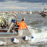 Gillnetters in the water on a recent year in Bristol Bay. (Photo by Chris Miller/csmphotos.com)