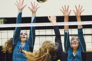 Nikiski netters sweep Seward