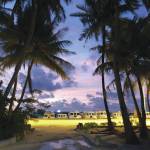 Photo by Paul Landen                                Palm trees frame a sunset sky in the Maldives in summer of 2019.