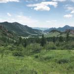 Scattered trees dot the rugged landscape in Mongolia in summer of 2019. (Photo by Paul Landen)