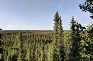 <strong>• By Will Morrow, For the Peninsula Clarion</strong>