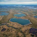 The National Petroleum Reserve Alaska. (Courtesy photo | Bureau of Land Management)