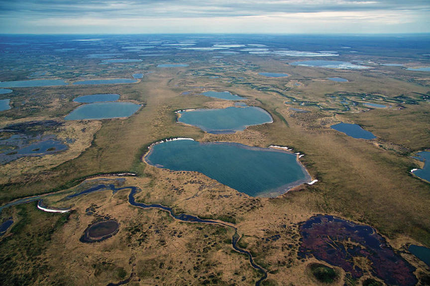 The National Petroleum Reserve Alaska. (Courtesy photo | Bureau of Land Management)