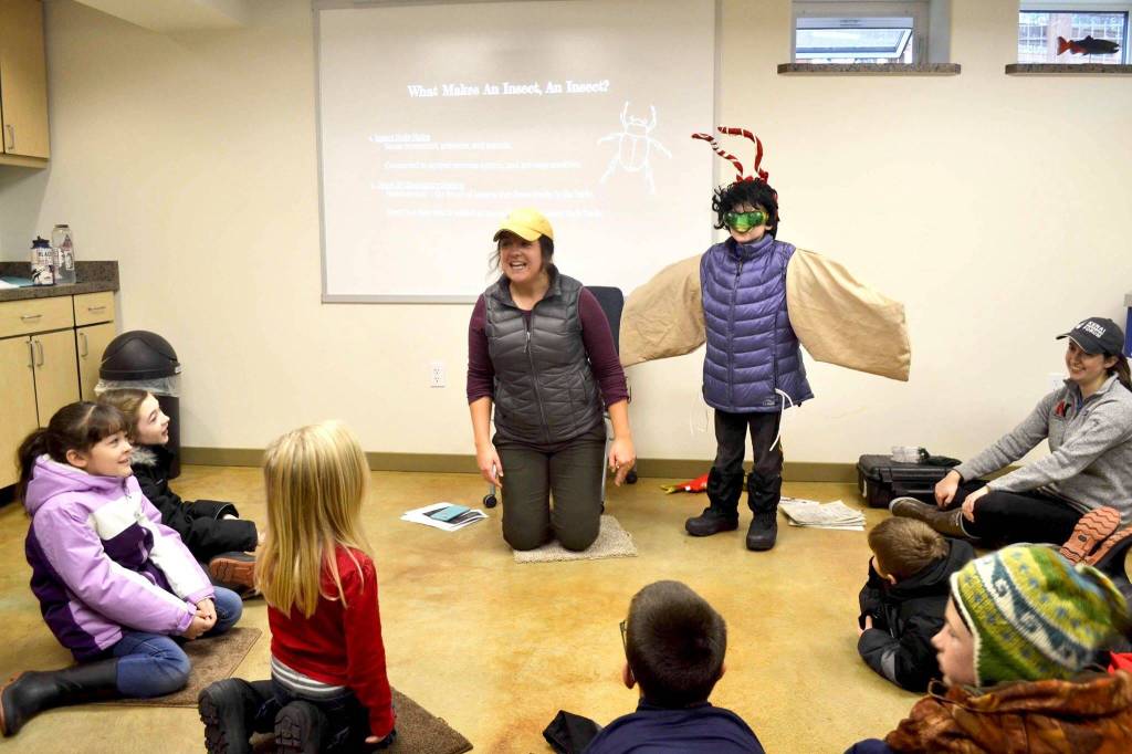 Megan Pike, Kenai Watershed Forums education specialist and Adopt-A-Stream program coordinator, dresses an Adopt-A-Stream student as an insect in a classroom lesson on the anatomy of bugs, on Thursday, Nov. 7, 2019, in Soldotna, Alaska. (Photo by Victoria Petersen/Peninsula Clarion)