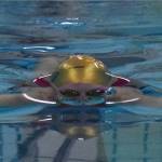 State swimming: Story ends 26-year title drought for Homer girls