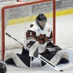 Brown Bears finish 3-game sweep of Jr. Blues