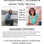Police, FBI did aerial search for missing Homer woman
