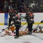 Kenai River players help clean up dozens of toy animals that were thrown onto the ice following the first goal between the Kenai River Brown Bears and Minnesota Magicians, Friday, Nov. 29, 2019, at the Soldotna Regional Sports Complex in Soldotna, Alaska. The stuffed animal toss was part of a charity event for the Salvation Army. (Photo by Joey Klecka/Peninsula Clarion)