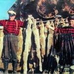 Big Jim (left) and Little Jim show off some of the furs from a recent winters trapping season, circa late 1950s. (Photo courtesy of Mona Painter)