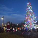 A healthy crowd watches as Santa Claus turns on the lights adorning the Christmas tree Saturday evening at the Christmas in the Park tree lighting ceremony at Soldotna Creek Park. (Photo by Joey Klecka/Peninsula Clarion)