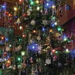 Kachemak Cuisine: New Orleans barbecue shrimp makes a great holiday dish