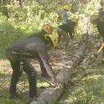 Refuge Notebook: Stories of refuge’s past and present