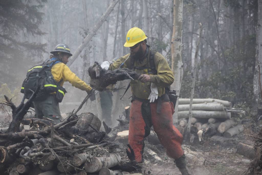 Firefighters from the Snake River Valley Type 2 crew work to expand a containment line off of Skilak Lake Road southeast of Sterling, Alaska on Aug. 30, 2019. (Photo by Brian Mazurek/Peninsula Clarion)