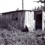A ptarmigan hunter takes in the sunshine near the front door of the Jims cabin on upper Surprise Creek, summer 1968. (Photo from the Fair Family Collection)