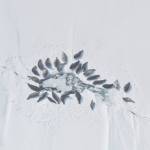 Dave Withrow / NOAA Fisheries                                 Freshwater seals gather around open water at Iliamna Lake on April 14, 2011.