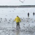 Brian Mazurek / Peninsula Clarion file                                Alaskans dip net for salmon on the Kenai River on July 17.