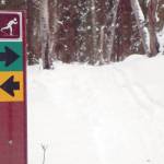 Refuge Notebook: I Think I Can Ski