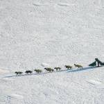 Iditarod kicks off