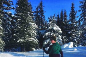 The author and a friend ski the hayfield loop on Feb. 24, 2020 at the Lookout Mountain Trails near Homer, Alaska. (Photo by Megan Pacer/Homer News)